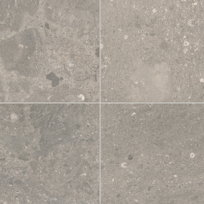 DAL_M323_12x24_ArchGrey_400x400